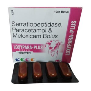 Loxypara Plus | Meloxicam, Paracetamol and Serratiopeptidase Bolus
