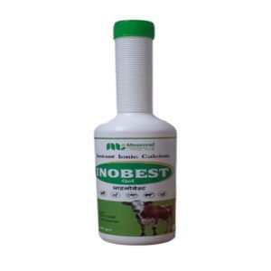 Nobest Gel | Calcium & Multitamin Gel Liquid