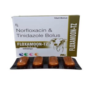 Floxamoon-TZ Bolus | Norfloxacin and Tinidazole Bolus