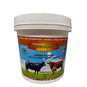 Vitdhara Gold | Calcium & Multivitamin Powder